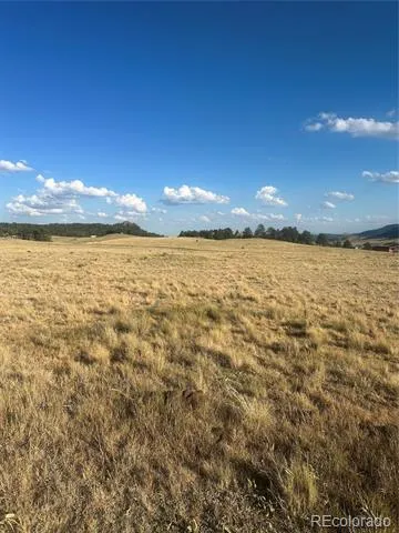 290 Castle Mountain Drive Florissant, CO 80816