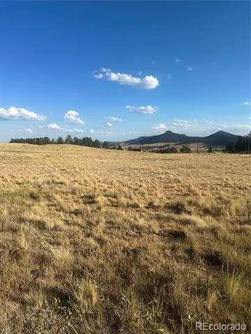 290 Castle Mountain Drive Florissant, CO 80816