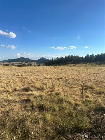 290 Castle Mountain Drive Florissant, CO 80816