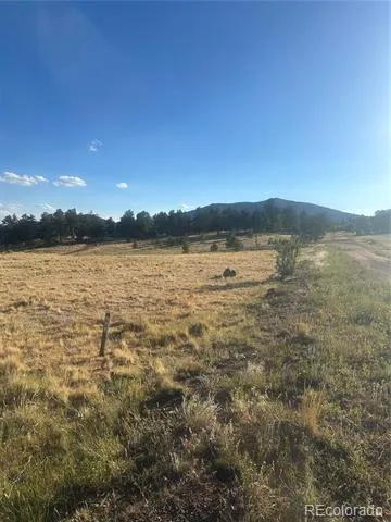 290 Castle Mountain Drive Florissant, CO 80816