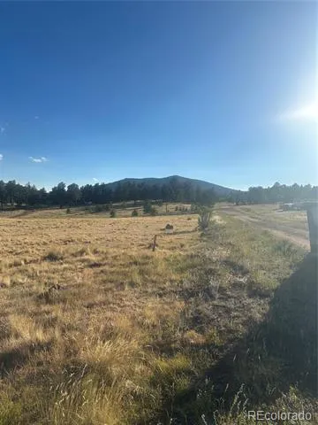 290 Castle Mountain Drive Florissant, CO 80816