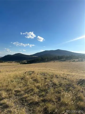 290 Castle Mountain Drive Florissant, CO 80816