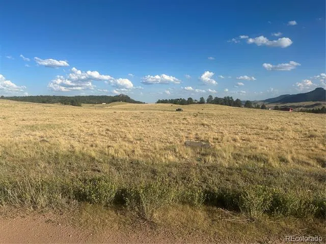 290 Castle Mountain Drive Florissant, CO 80816