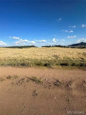 290 Castle Mountain Drive Florissant, CO 80816