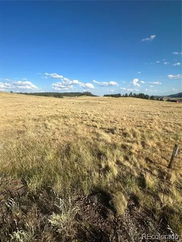 290 Castle Mountain Drive Florissant, CO 80816