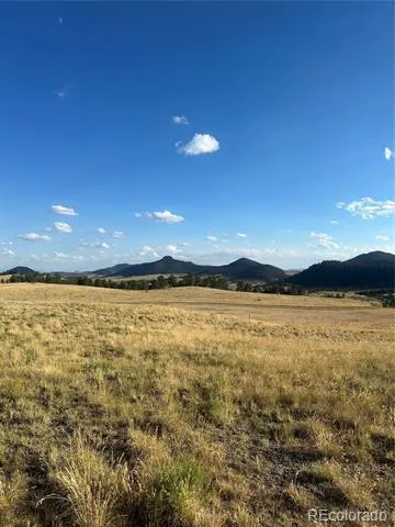 290 Castle Mountain Drive Florissant, CO 80816