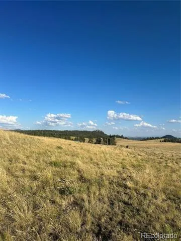 290 Castle Mountain Drive Florissant, CO 80816