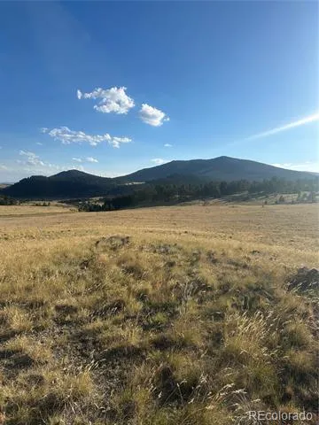 290 Castle Mountain Drive Florissant, CO 80816