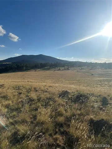 290 Castle Mountain Drive Florissant, CO 80816