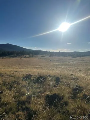 290 Castle Mountain Drive Florissant, CO 80816