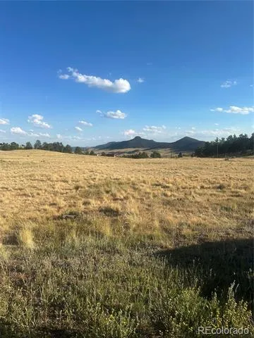 290 Castle Mountain Drive Florissant, CO 80816
