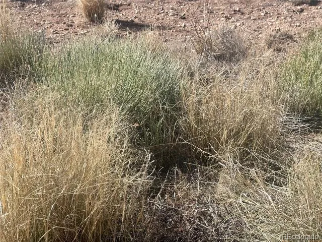 Lot 6 LL 8th Street Blanca, CO 81123