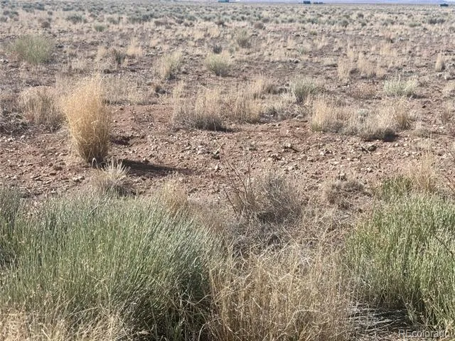 Lot 6 LL 8th Street Blanca, CO 81123