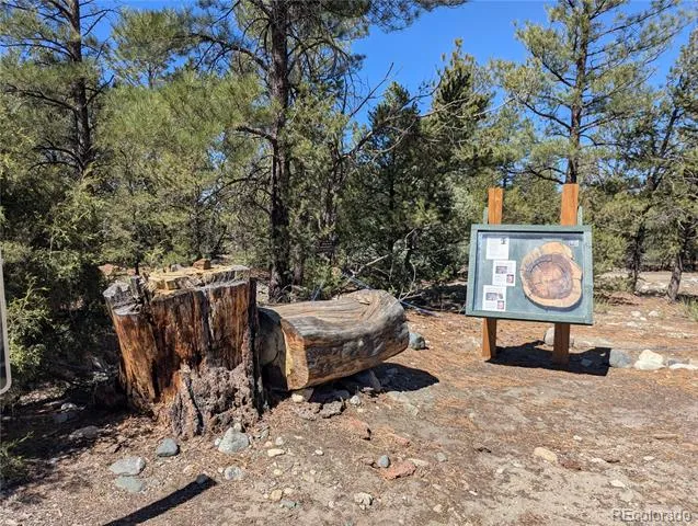 200 Mill Run Road Mosca, CO 81146