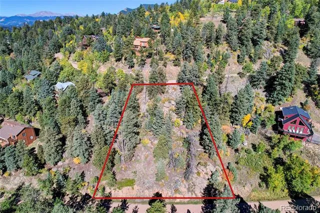 11723 Braun Way Conifer, CO 80433