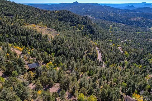 11723 Braun Way Conifer, CO 80433