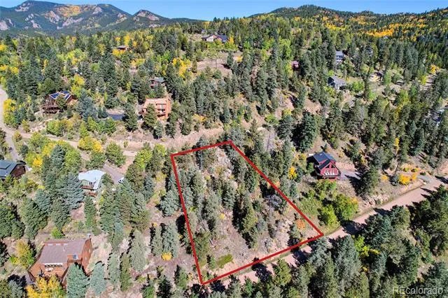 11723 Braun Way Conifer, CO 80433