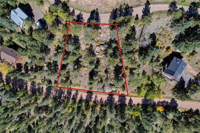 11723 Braun Way Conifer, CO 80433