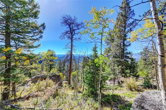 11723 Braun Way Conifer, CO 80433