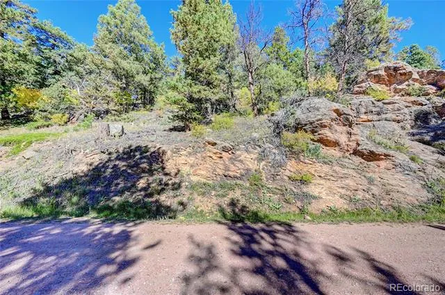 11723 Braun Way Conifer, CO 80433
