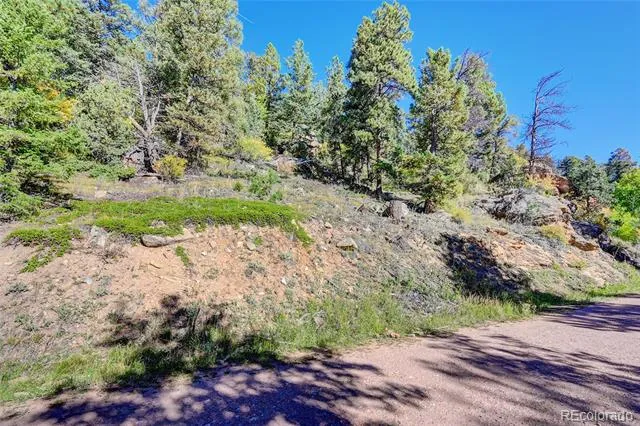 11723 Braun Way Conifer, CO 80433