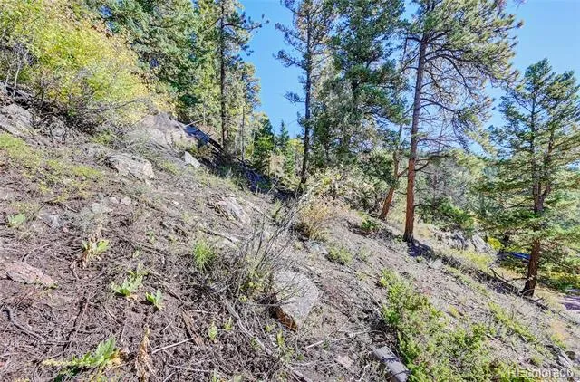 11723 Braun Way Conifer, CO 80433