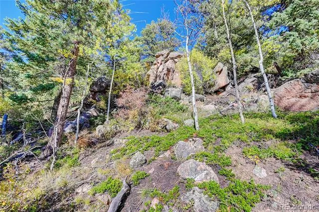 11723 Braun Way Conifer, CO 80433
