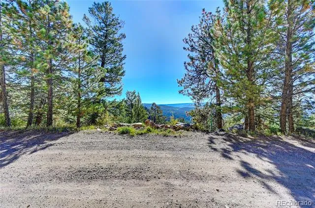 11723 Braun Way Conifer, CO 80433