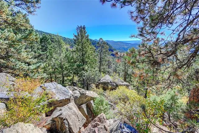 11723 Braun Way Conifer, CO 80433
