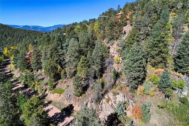 11723 Braun Way Conifer, CO 80433