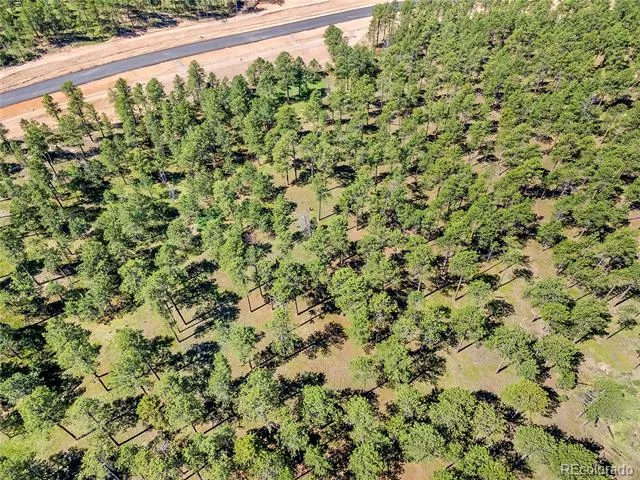 14310 Allen Ranch Road Colorado Springs, CO 80908