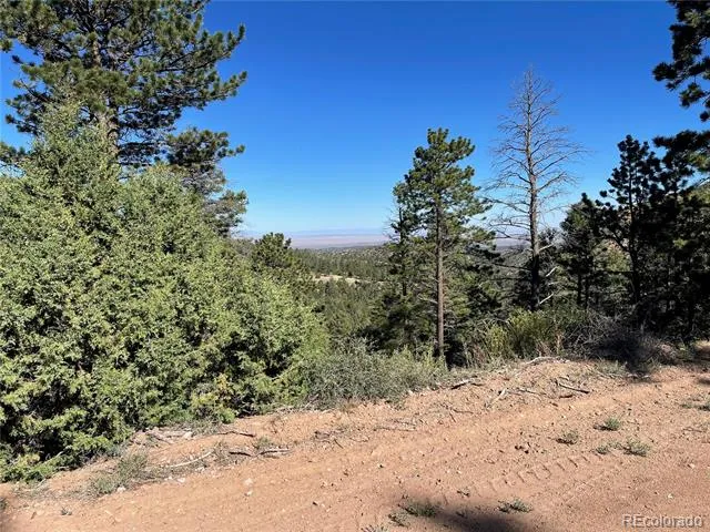 6168 Hoadley Road Fort Garland, CO 81133