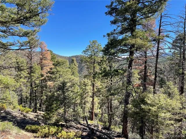 6168 Hoadley Road Fort Garland, CO 81133