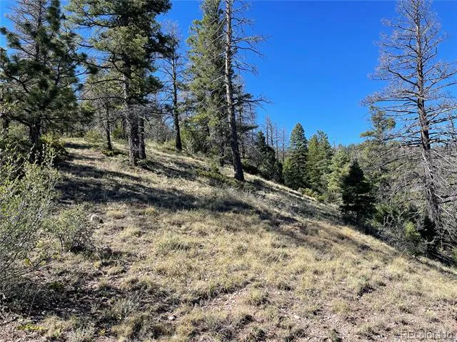 6168 Hoadley Road Fort Garland, CO 81133