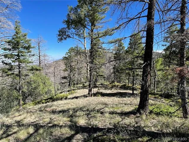 6168 Hoadley Road Fort Garland, CO 81133