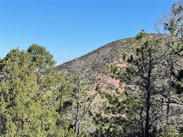 6168 Hoadley Road Fort Garland, CO 81133