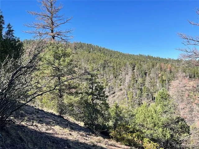 6168 Hoadley Road Fort Garland, CO 81133