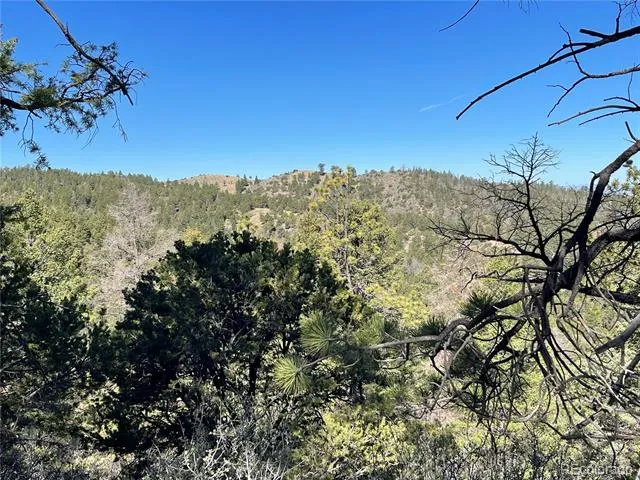 6168 Hoadley Road Fort Garland, CO 81133