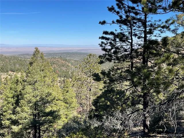 6168 Hoadley Road Fort Garland, CO 81133