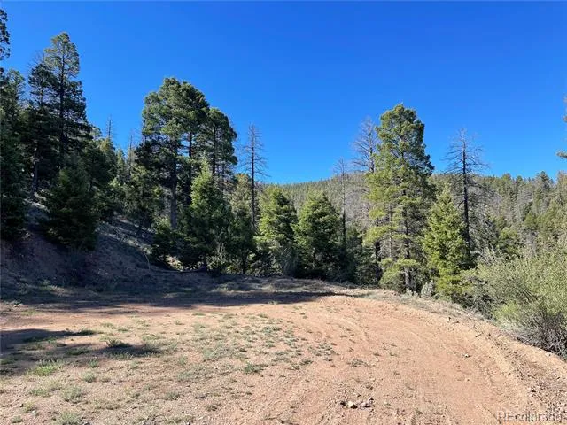 6168 Hoadley Road Fort Garland, CO 81133