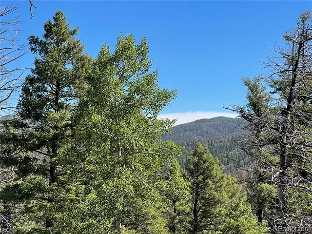 6168 Hoadley Road Fort Garland, CO 81133