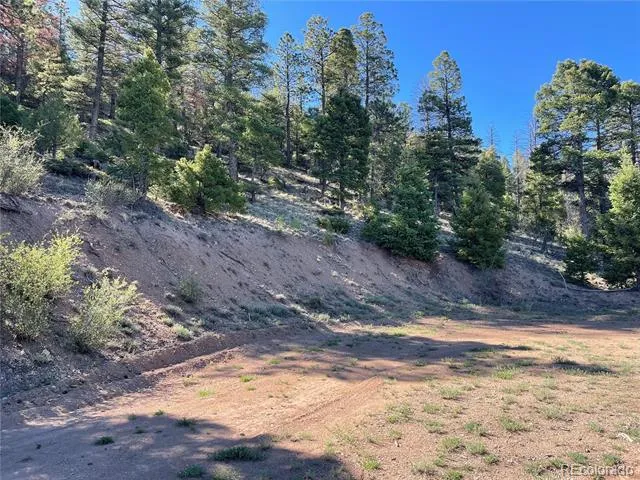 6168 Hoadley Road Fort Garland, CO 81133
