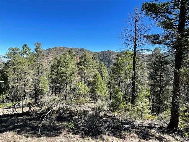 6168 Hoadley Road Fort Garland, CO 81133