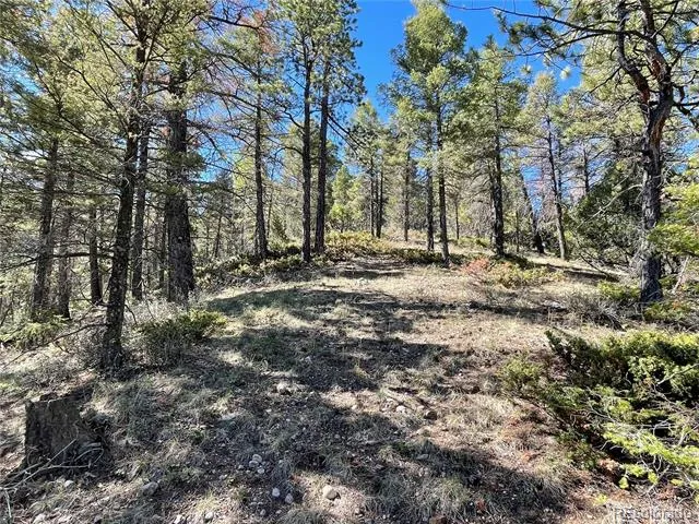 6168 Hoadley Road Fort Garland, CO 81133