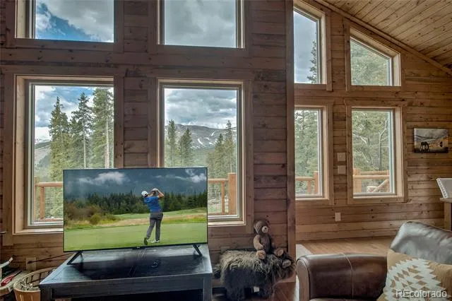 790 Mountain View Drive Fairplay, CO 80440