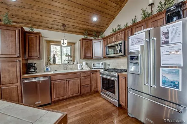 790 Mountain View Drive Fairplay, CO 80440