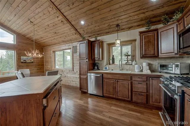 790 Mountain View Drive Fairplay, CO 80440