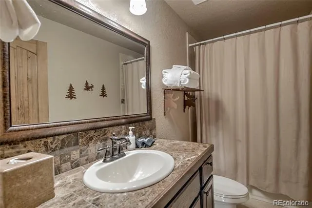 790 Mountain View Drive Fairplay, CO 80440