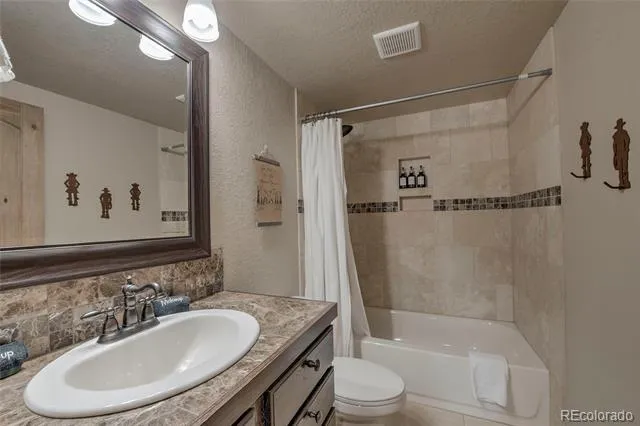 790 Mountain View Drive Fairplay, CO 80440