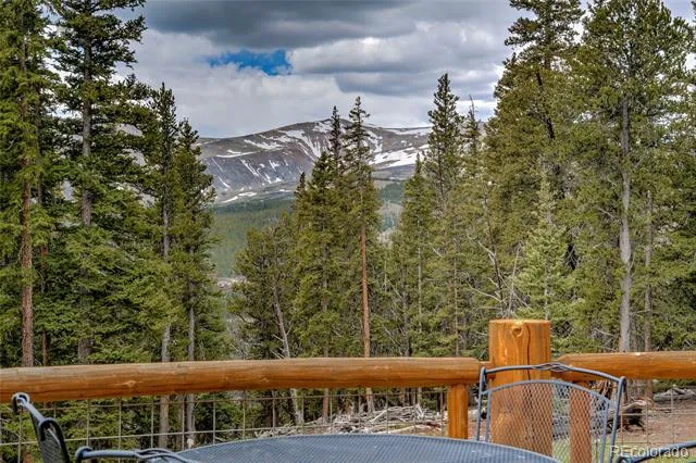 790 Mountain View Drive Fairplay, CO 80440